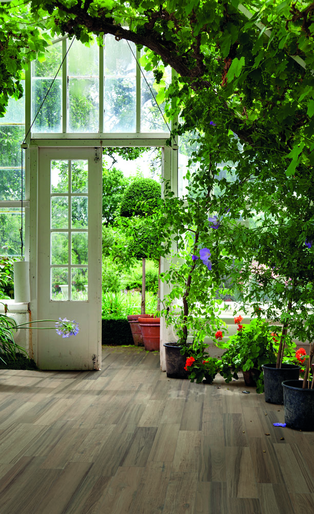 コテージアクシス