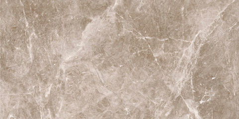 CME12648P
