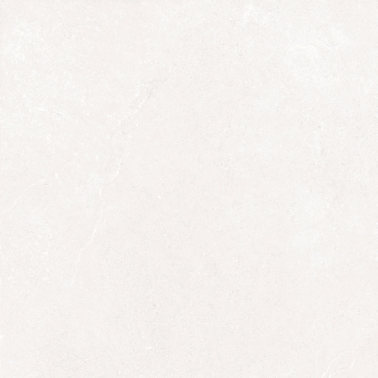 WLS-60-1<br>WLS-60-1X