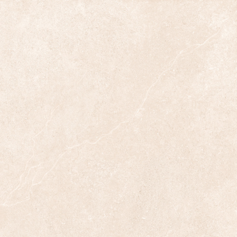 WLS-60-2<br>WLS-60-2X